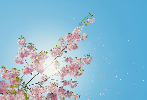 Frühling